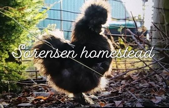 Welcome To Our Homestead